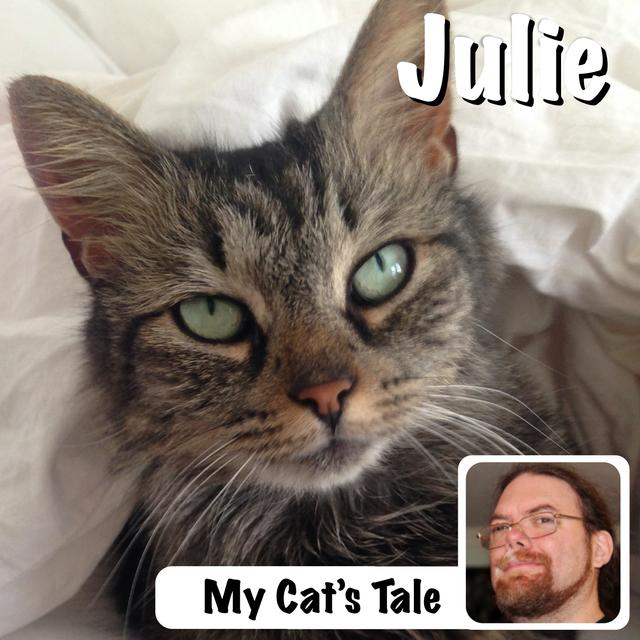 My Cat’s Tale: Julie - podcast episode cover