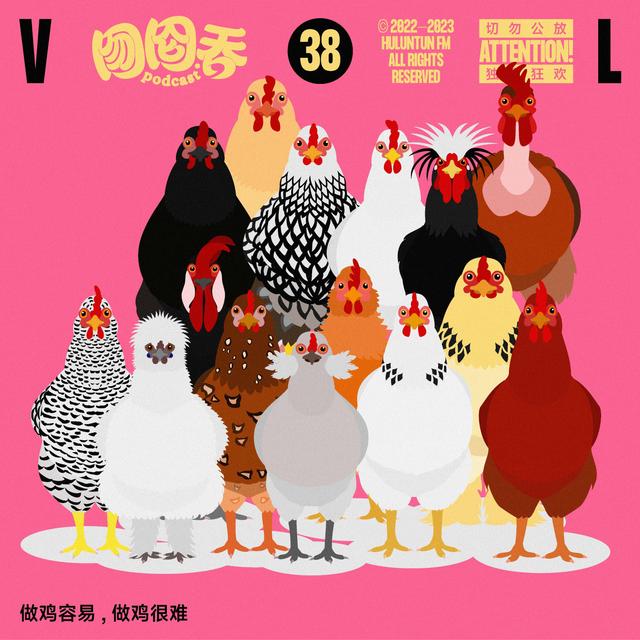 做鸡容易，做鸡很难 - podcast episode cover