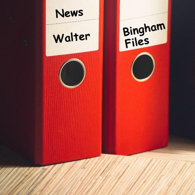The World  vs. Sovereign Israel - The Walter Bingham File - podcast episode cover
