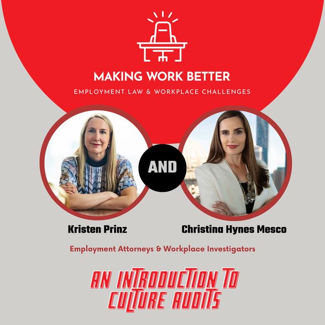 Ep. 18 – An Introduction to Culture Audits (Investigations III) - podcast episode cover