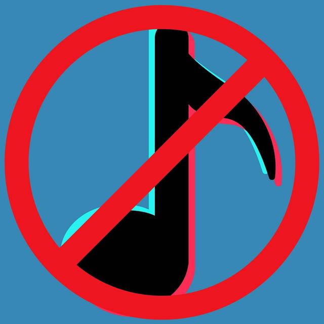 FLASHBACK SUNDAY - How a Ban on TikTok Might Impact PR and Marketing Pros - podcast episode cover