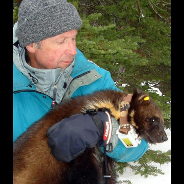 Episode 239: Wildlife Biologist and Four Fifths a Grizzly author Douglas Chadwick - podcast episode cover