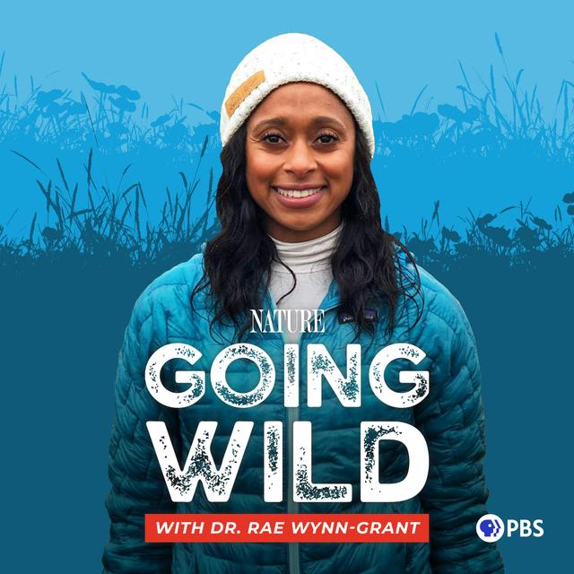 Black. Female. Scientist. - podcast episode cover