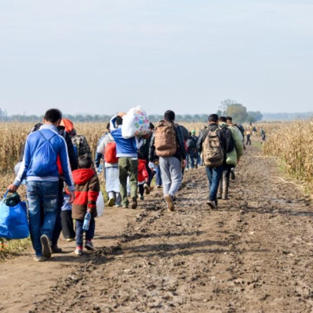 POLICY AND PRACTICE - Addressing the Climate Change-Migration Nexus Through Policy and Art - podcast episode cover
