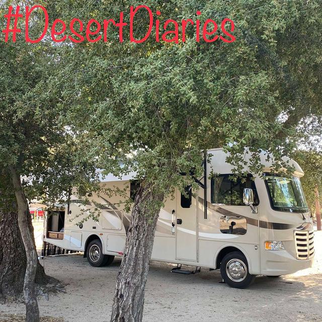 Road trippin' with the lizard and illegal dogs - podcast episode cover