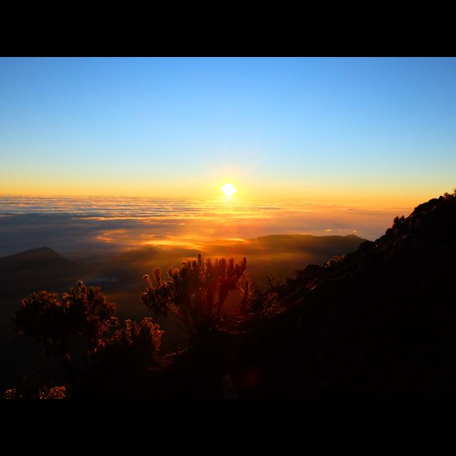 209. Travelling in Indonesia (Part 2) - podcast episode cover