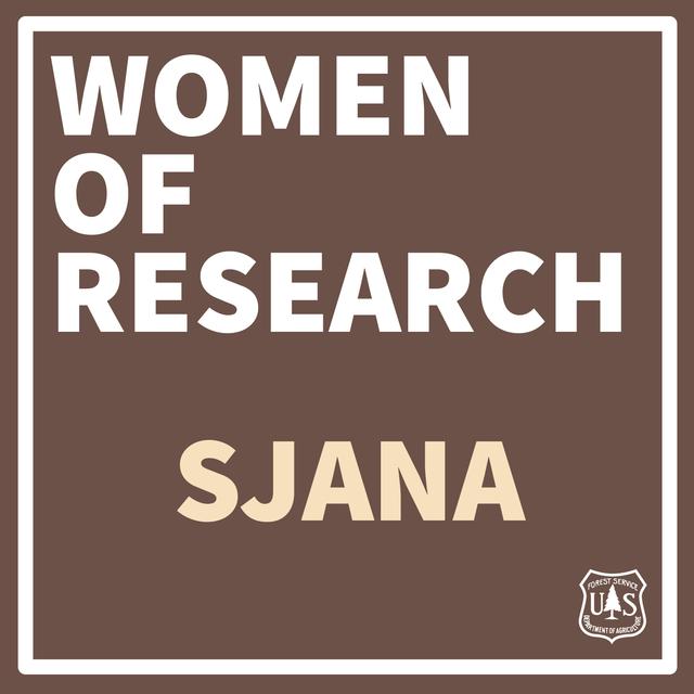 Women of Research: Plots to Blocks with Sjana Schanning - podcast episode cover