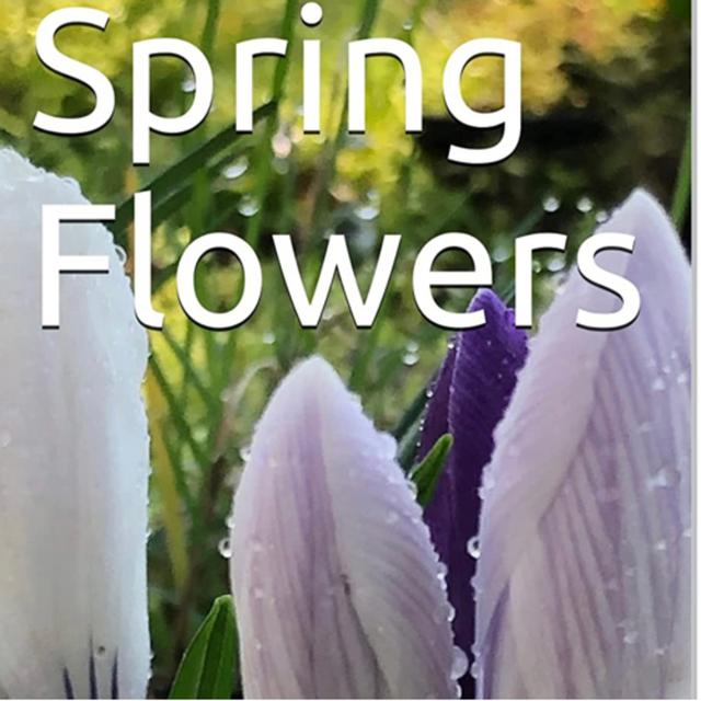 Spring Flowers Volume 55 Regal by Daniel Lucas - podcast episode cover