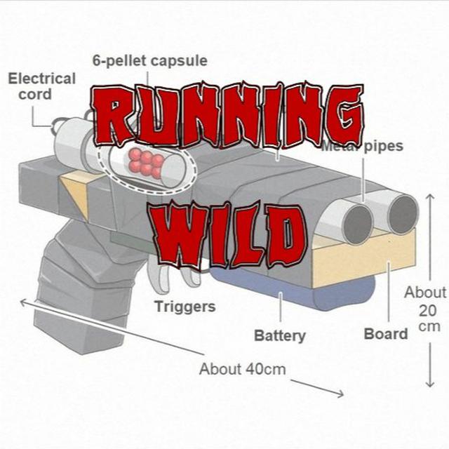 Patreon Preview – 263. Running Wild - podcast episode cover