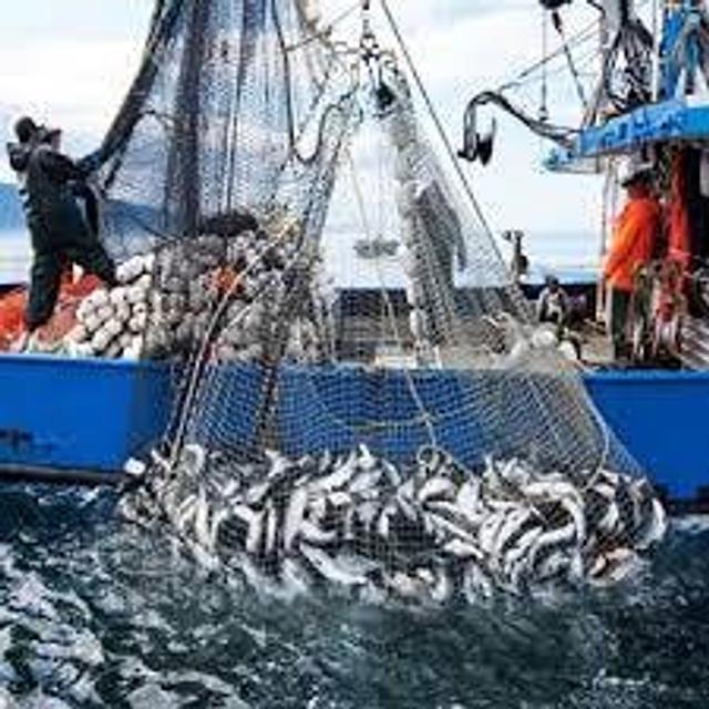 Episode 220: Is Netflix's Seaspiracy Accurate w/Corbin Maxey - podcast episode cover