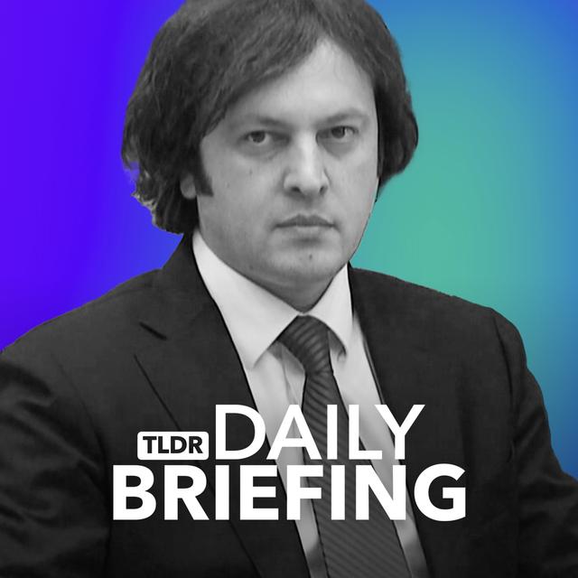 Why Georgia's Opposition Says the Election was Rigged - podcast episode cover