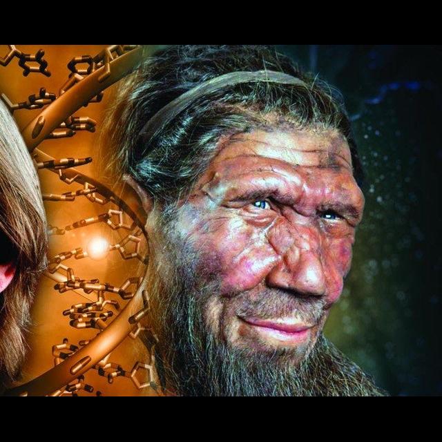Health Care Let Neandertals "Punch above Their Weight" - podcast episode cover
