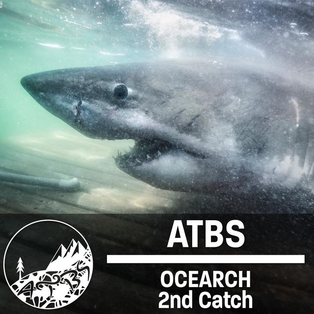 #27 - ATBS - OCEARCH 2nd Catch - With Chris Fischer - podcast episode cover