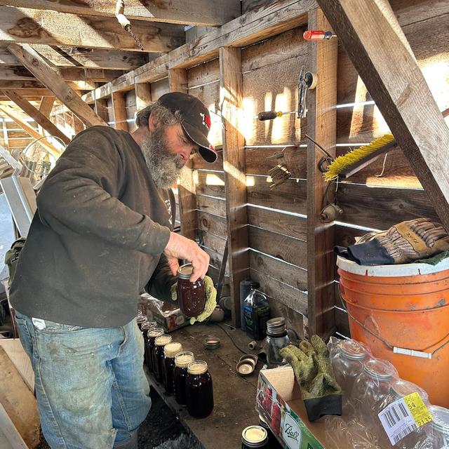 Sugaring with Forrest Foster - podcast episode cover