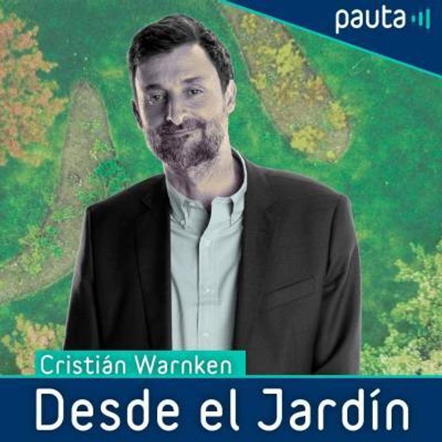 Violeta León y los proyectos que fomentan la lectura - podcast episode cover