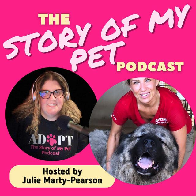 Extraordinary Animal Rescue Missions From War Zones to Forever Homes - podcast episode cover