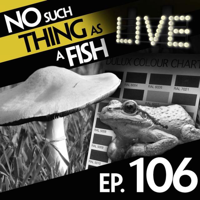 106: No Such Thing As A Six-Tier Japanese Human Pyramid - podcast episode cover