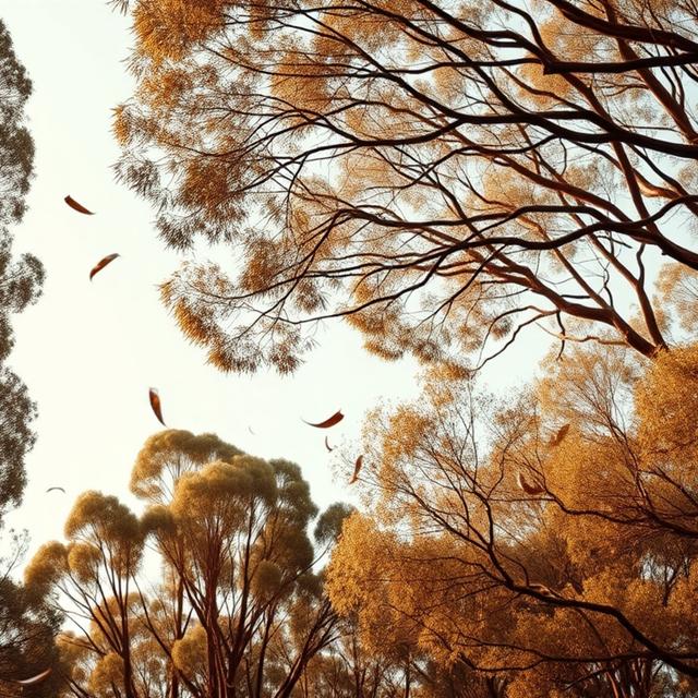 Windy Eucalyptus Forest - 10 Hours Sleep Sound - podcast episode cover