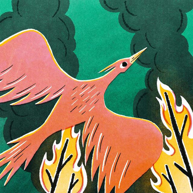 S4 E3: Phoenix Fire (A Mythological Adventure) - podcast episode cover