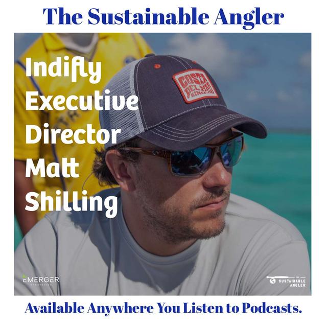EP 36. Indifly Executive Director Matt Shilling - podcast episode cover