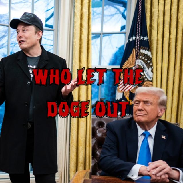 394. Who Let the DOGE Out - podcast episode cover