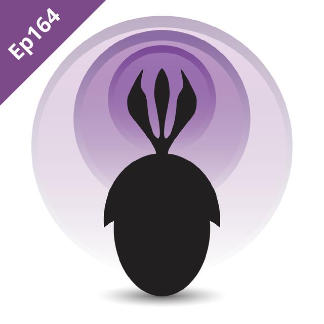 Episode 164: Ants - podcast episode cover