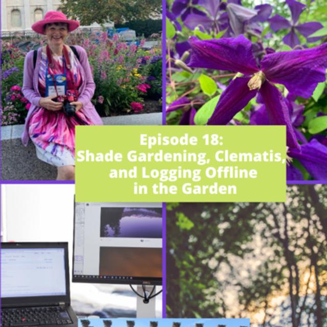 Shade Gardening, Clematis, and Logging Offline in the Garden - podcast episode cover