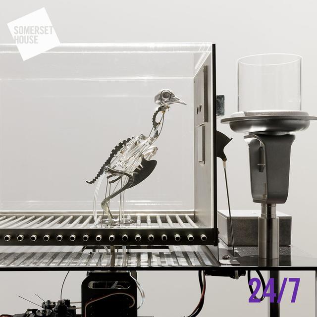 S7 Ep3: Dopamine Detox & Resisting Surveillance | 24/7 - podcast episode cover