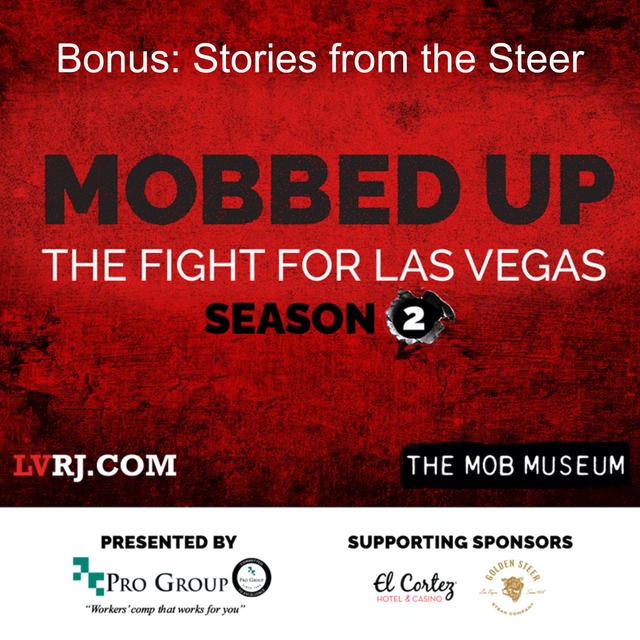 Bonus: Stories from the Steer - podcast episode cover