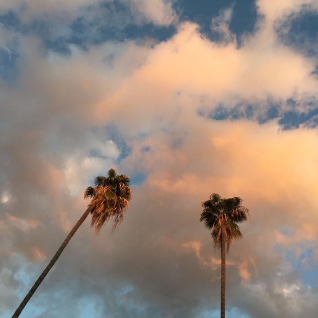Sheltering in Burbank - podcast episode cover