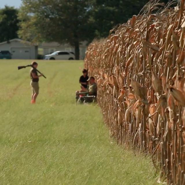 TW 360 - Dive Into Dove Hunting - podcast episode cover