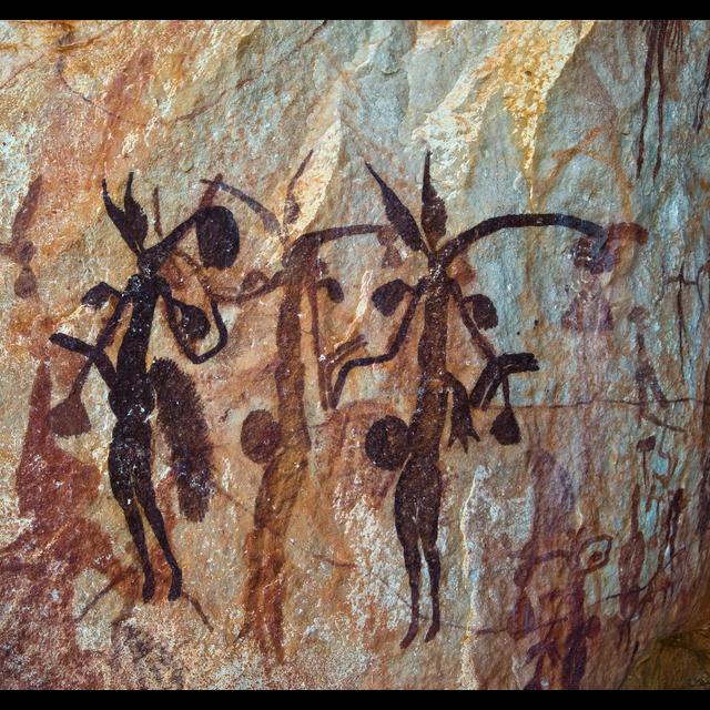 Wasp Nests Help Date Aboriginal Art - podcast episode cover