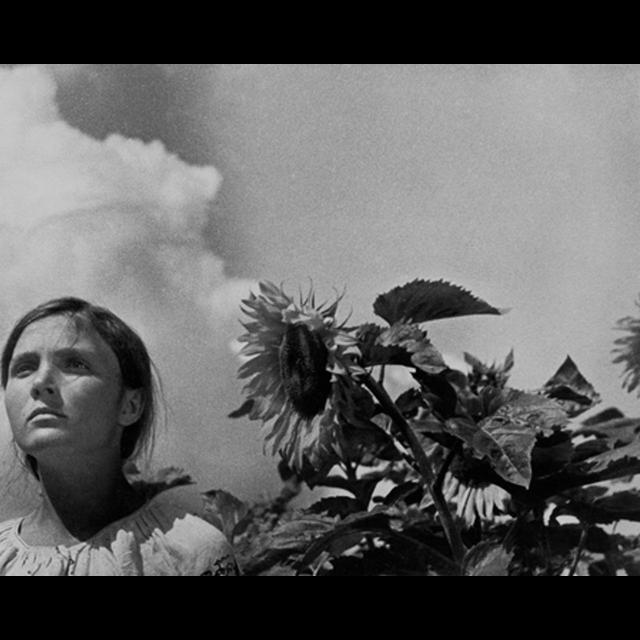 WR55 - Dovzhenko's 'Earth' (1930) & Planning the Ultimate Double Feature - podcast episode cover