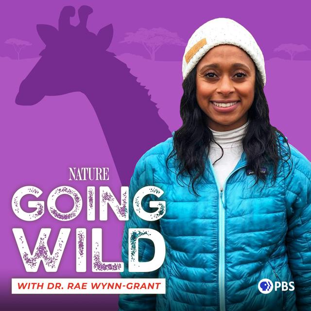 Pursuing Poachers in Tanzania - podcast episode cover