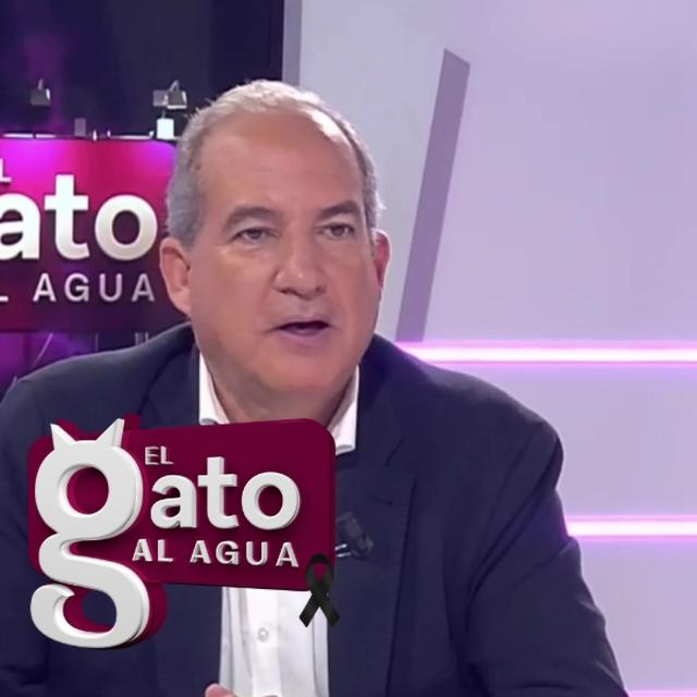 El Gato al Agua | 12/11/24 - podcast episode cover