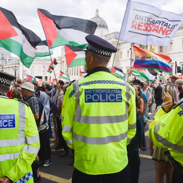 The protest group the UK government wants to brand terrorists - podcast episode cover