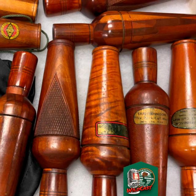 TW 351 - Vintage Duck Call Nostalgia - podcast episode cover