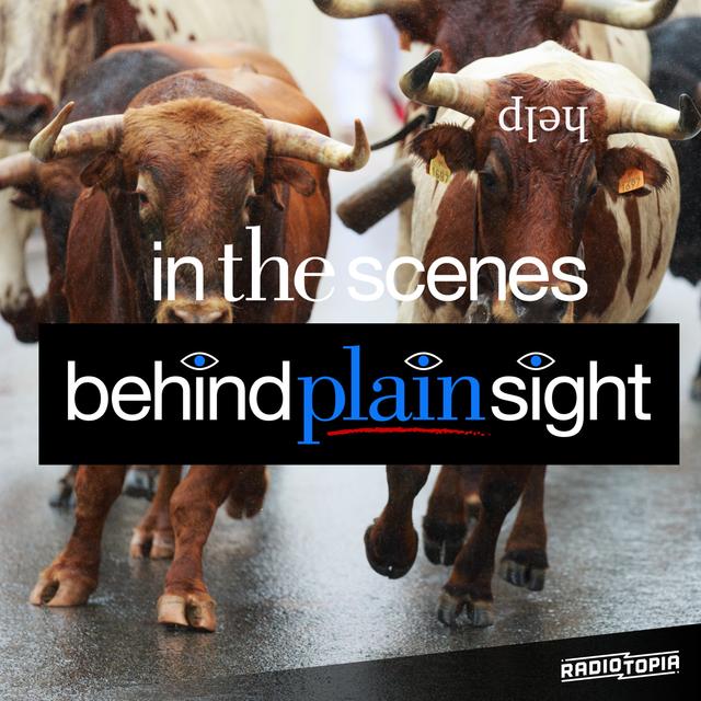 Running of the Bulls - podcast episode cover