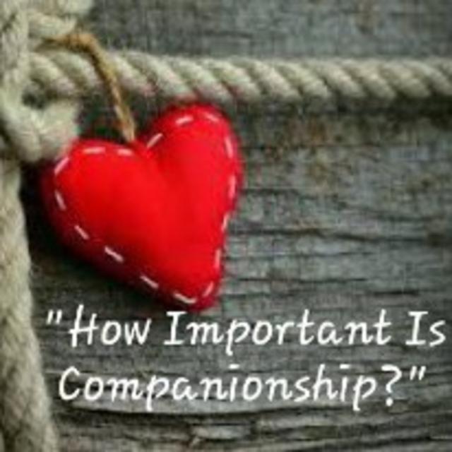 S2/Ep.29 ”How Important Is Companionship” - podcast episode cover