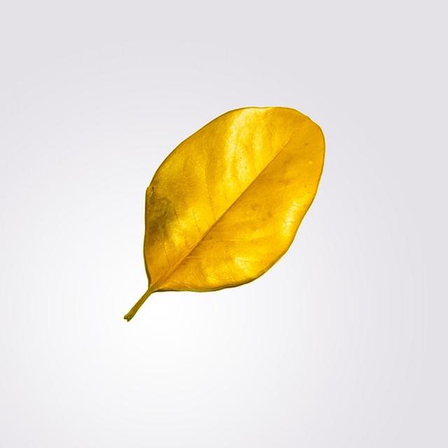 Simplicity, in Three Pärts - podcast episode cover