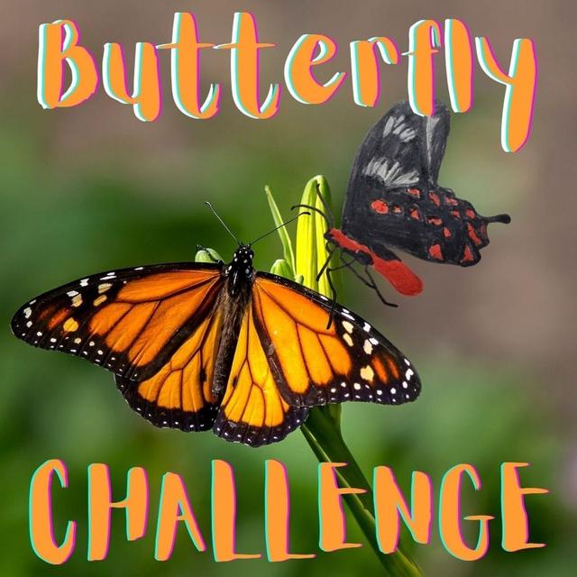 Kid News This Week: Butterfly challenge, Ukraine update and happy take, world's oldest pants - podcast episode cover