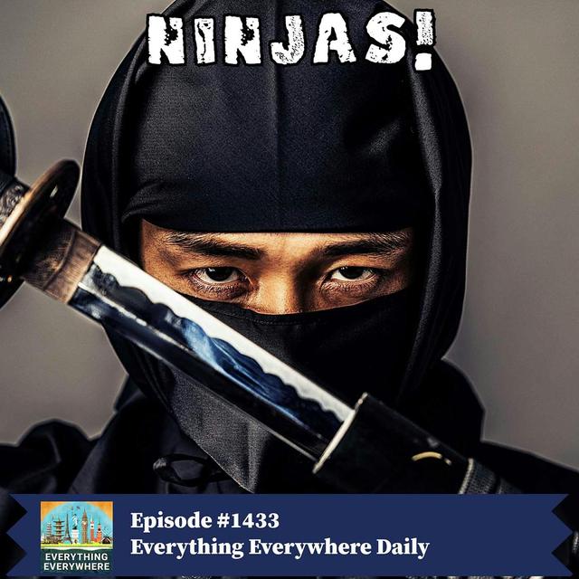 Ninjas (Encore) - podcast episode cover