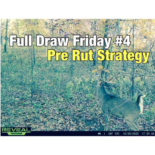 Full Draw Friday #4 | Pre Rut Strategy - podcast episode cover