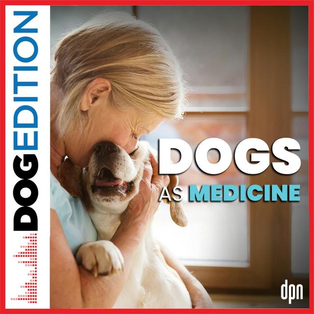 Dogs as Medicine | Dog Edition #53 - podcast episode cover
