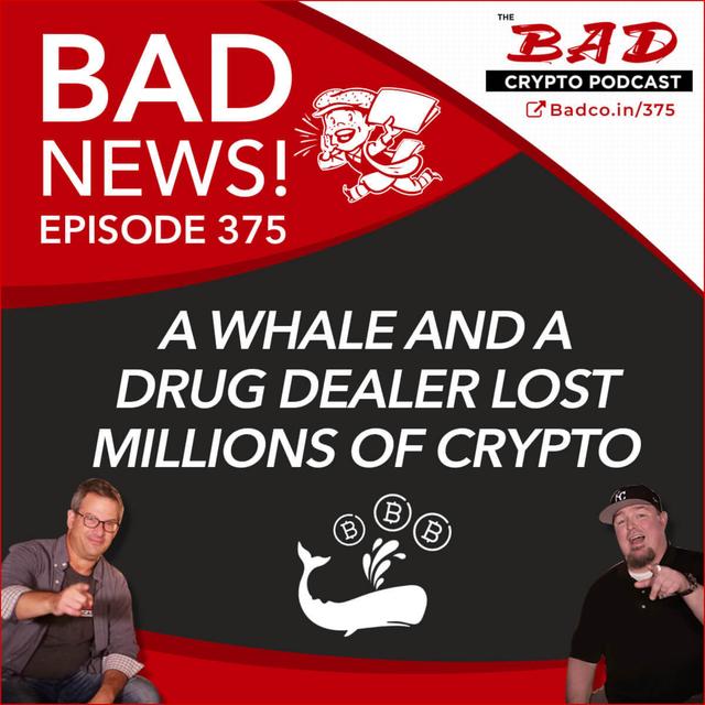 A Whale and a Drug Dealer Lost Millions of Crypto - Bad News for 2/28/2020 - podcast episode cover