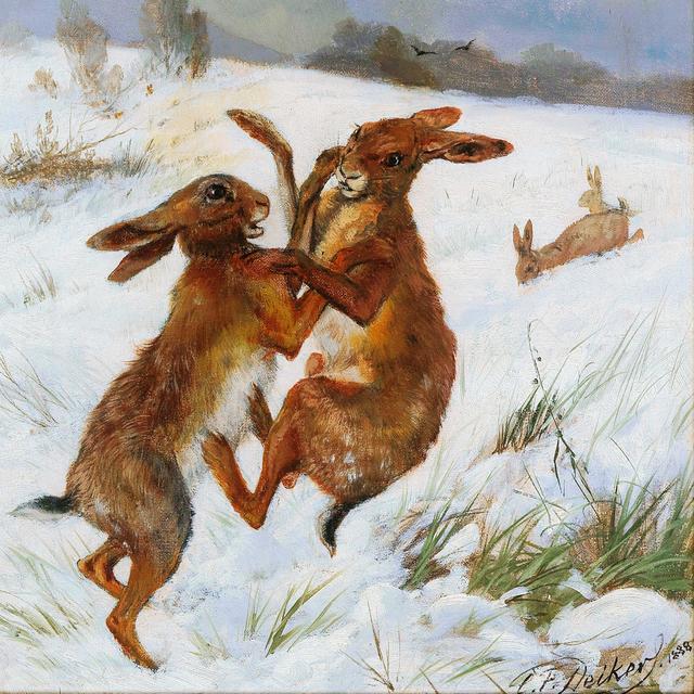 Episode 41: Falling Down the Rabbit Hole - podcast episode cover