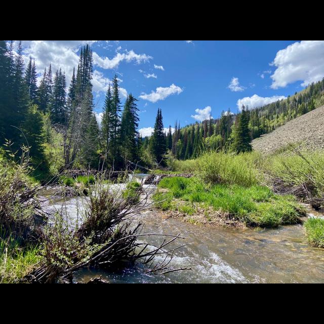 Robert Macfarlane on the Lives of Rivers - podcast episode cover