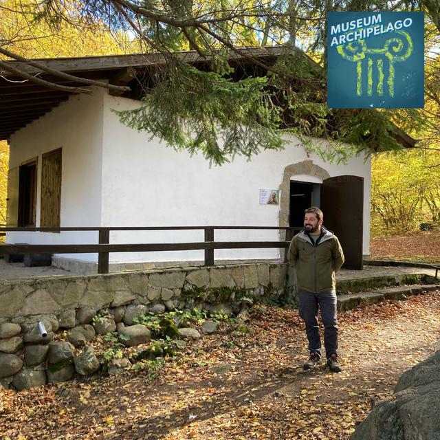 87. The Vitosha Bear Museum Lives in a Tiny Mountain Hut - podcast episode cover