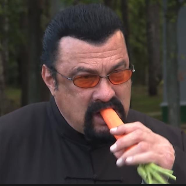 528 - Steven Seagal - part 3 (the carrot) - podcast episode cover