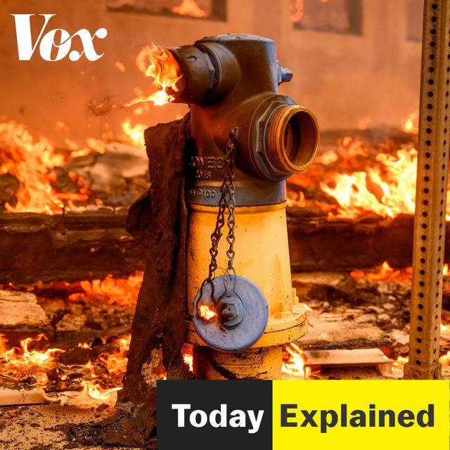 The politics of fire - podcast episode cover